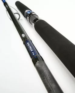 Daiwa Saltiga Gt86 Rod 2Pc 100-180G