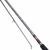 Daiwa Seahunter Z Spin Rod - 10' 2pc 1-3oz