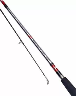 Daiwa Seahunter Z Spin Rod - 10' 2pc 1-3oz