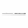 Shakespeare SALT Mackerel Spinning Rod - 10ft 100-200g 2pc
