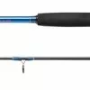 Shakespeare Firebird Spinning Rod - 6ft 10-25g 2pc
