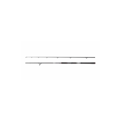 Abu Garcia Beast Pike Spinning Rod - 802H 40-90g