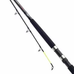 Daiwa D Wave Uptide Rod 2.9m 4-10oz
