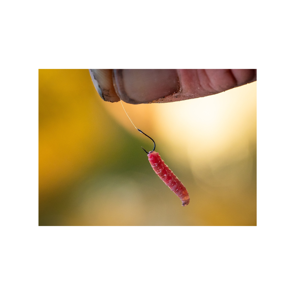 Guru Match Special Rig 8" - 10 (0.15mm) - Image 6